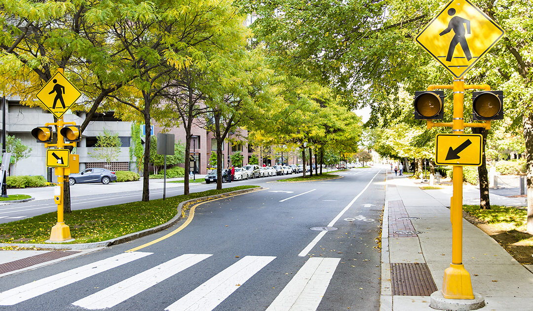 Pedestrian Safety